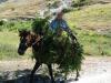 Trekking and overnight in Zagrad village Trekking and overnight in Zagrad village